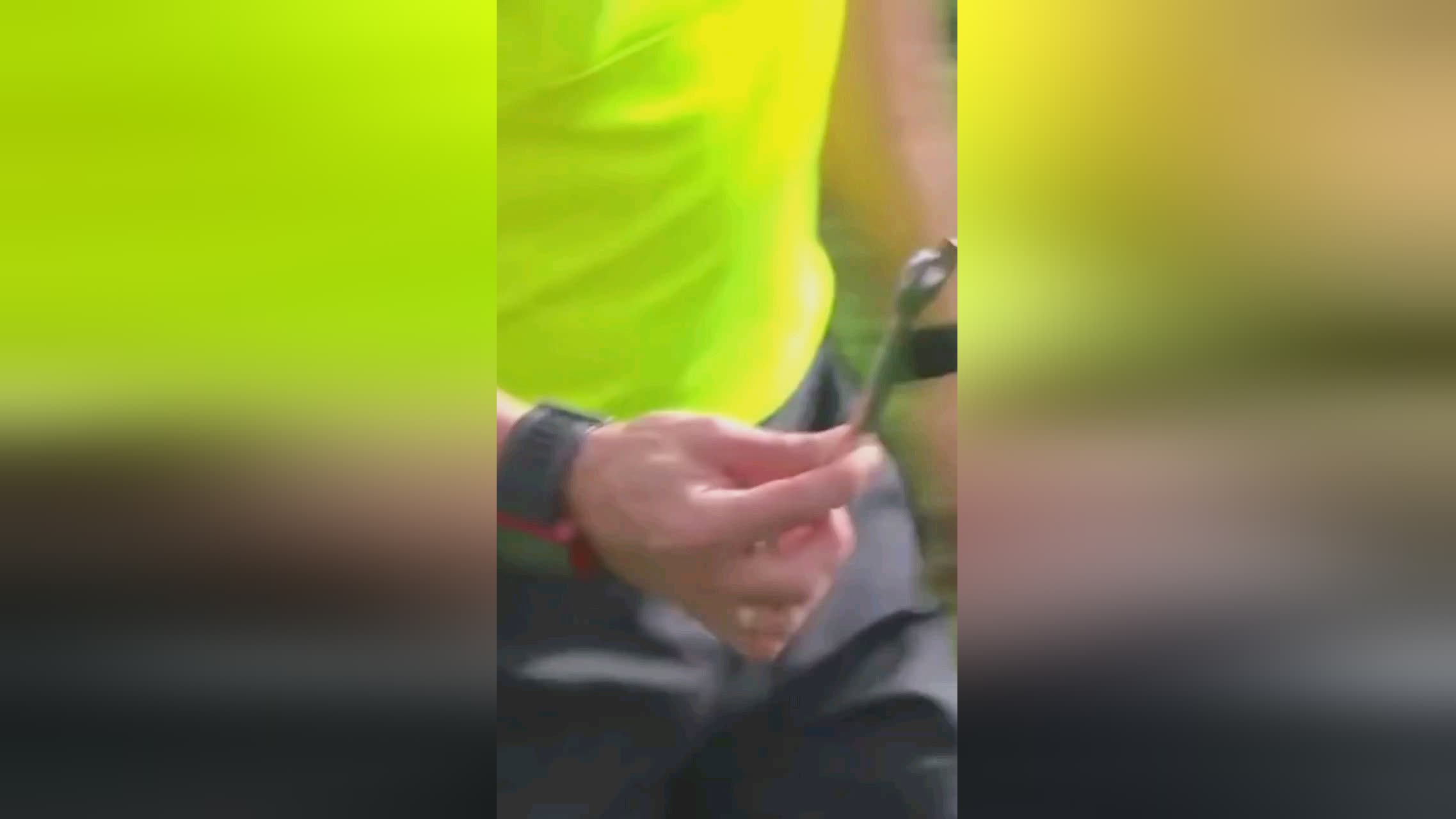 球员的影